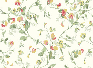 Sweet Pea Archive Anthology - Yellow & Coral on Cream