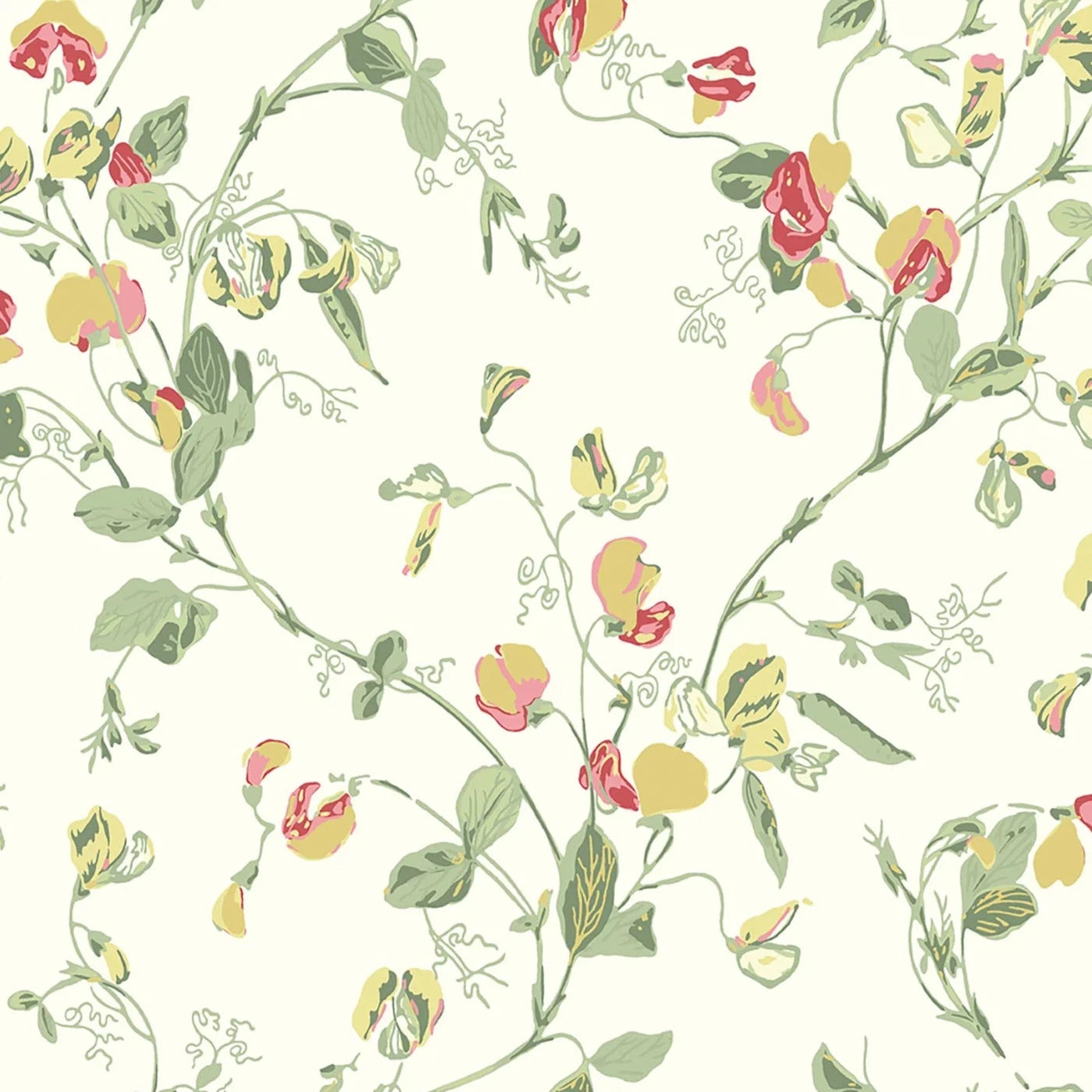 Sweet Pea Archive Anthology - Yellow & Coral on Cream