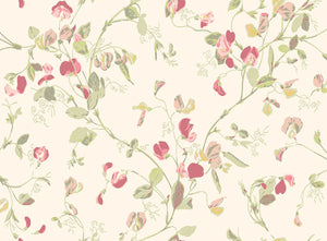 Sweet Pea Archive Anthology - Coral & Olive on Cream