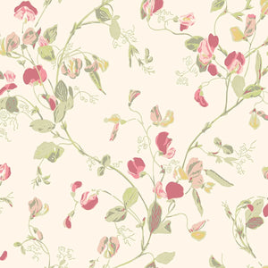 Sweet Pea Archive Anthology - Coral & Olive on Cream