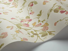 Load image into Gallery viewer, Sweet Pea Archive Anthology - Yellow &amp; Coral on Cream