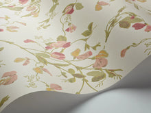 Load image into Gallery viewer, Sweet Pea Archive Anthology - Coral &amp; Olive on Cream