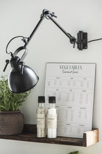 Shelf w/edges